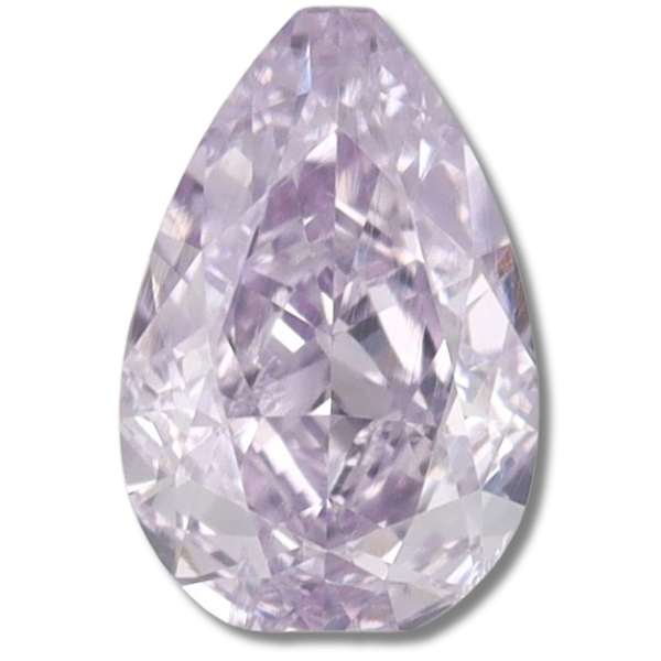 Pear Fancy Pinkish Purple