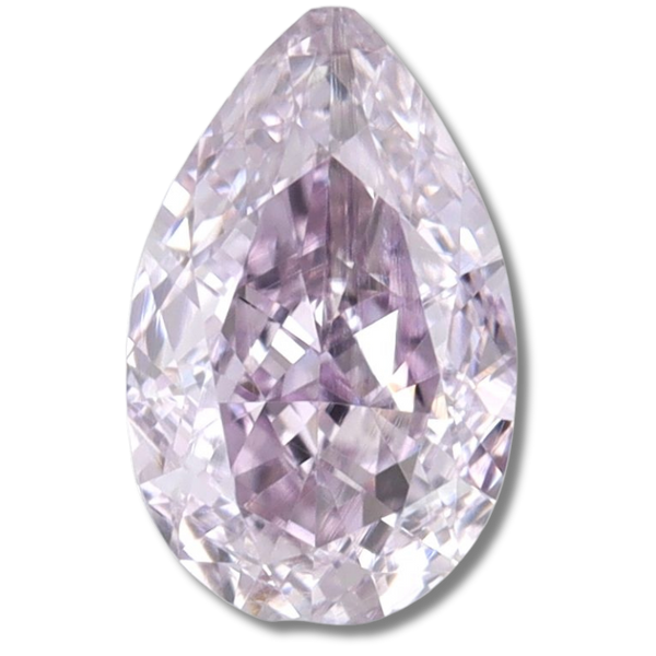 Pear Fancy Pinkish Purple