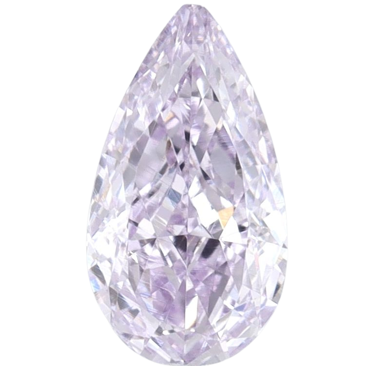 Pear Fancy Purple