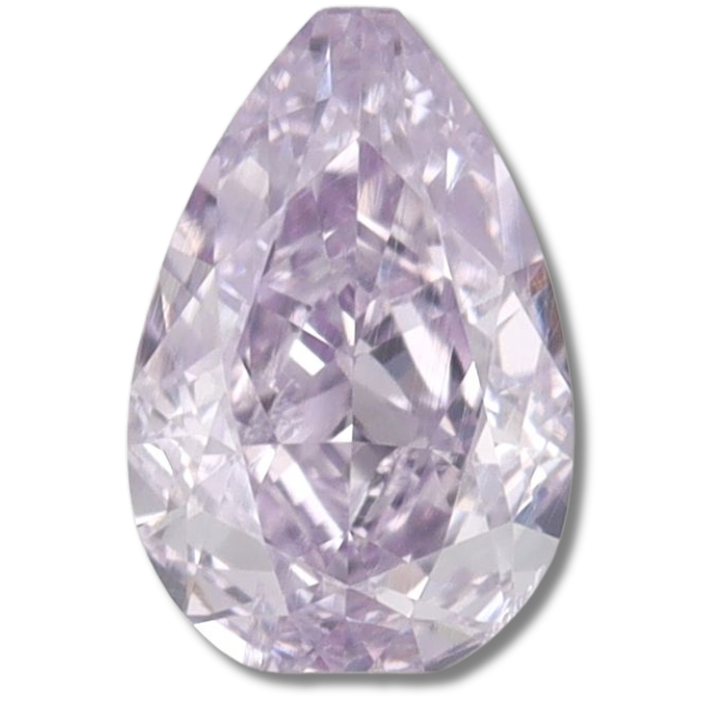 Pear Fancy Pinkish Purple