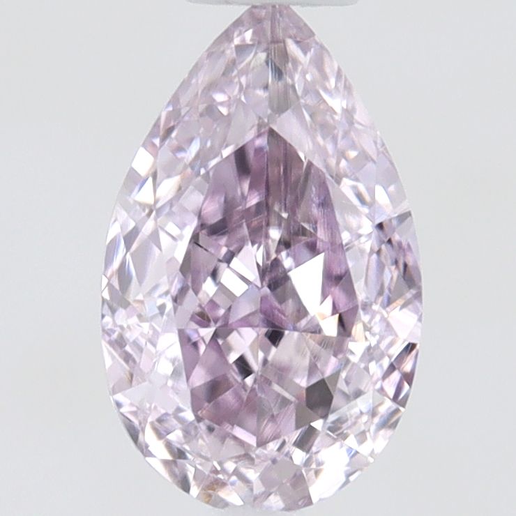 Pear Fancy Pinkish Purple