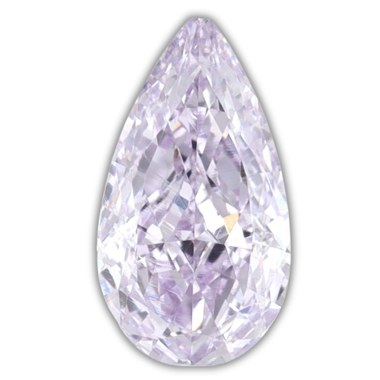 Pear Fancy Purple