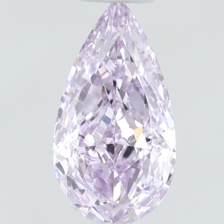 Pear Fancy Purple