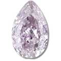 Pear Fancy Pinkish Purple