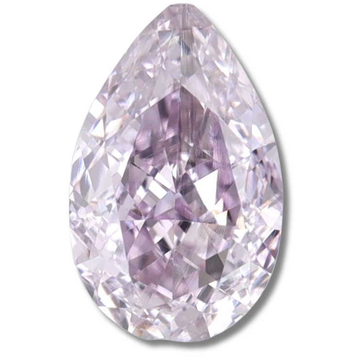 Pear Fancy Pinkish Purple