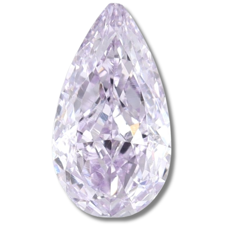 Pear Fancy Purple