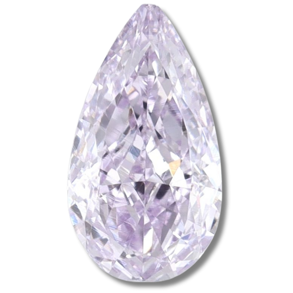 Pear Fancy Purple
