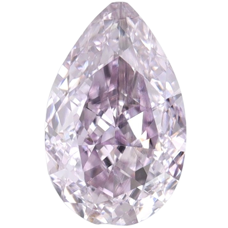 Pear Fancy Pinkish Purple